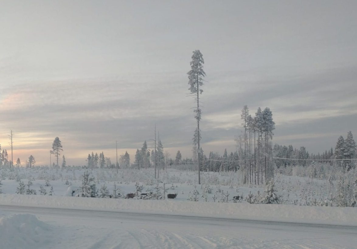 Lapland-bij-min-40C